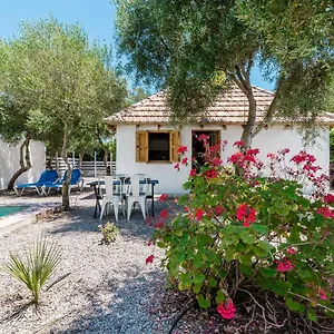 Casa El Castaño , El Palmar (Andalucia) España